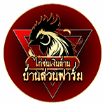 ไก่ชนเงินล้าน