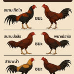 ผลไก่ชนย้อนหลัง